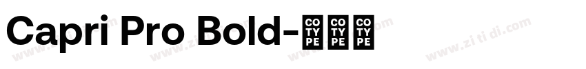 Capri Pro Bold字体转换